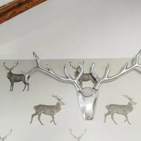 Innsbruck City Chalet מלון דירות 3*