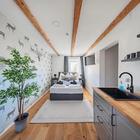 Innsbruck City Chalet 公寓式酒店 因斯布鲁克