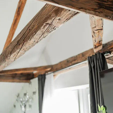 公寓式酒店 Innsbruck City Chalet 3*