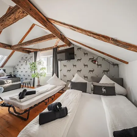 Innsbruck City Chalet מלון דירות אינסברוק