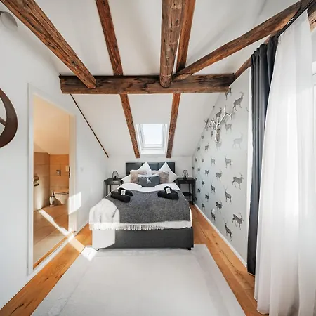 公寓式酒店 Innsbruck City Chalet 因斯布鲁克