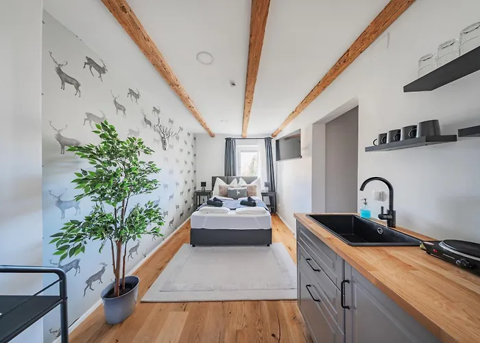 Innsbruck City Chalet מלון דירות אינסברוק