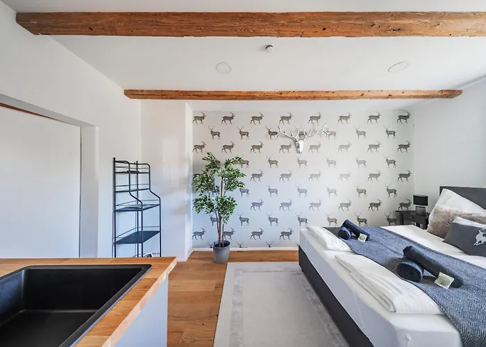 Innsbruck City Chalet מלון דירות