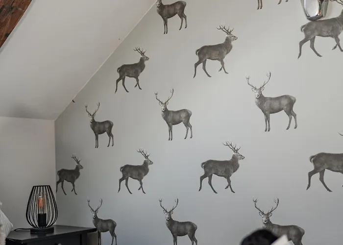 Innsbruck City Chalet 3* אינסברוק