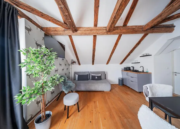 Innsbruck City Chalet אינסברוק